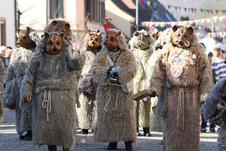 Jubiläumsumzug Schergässler